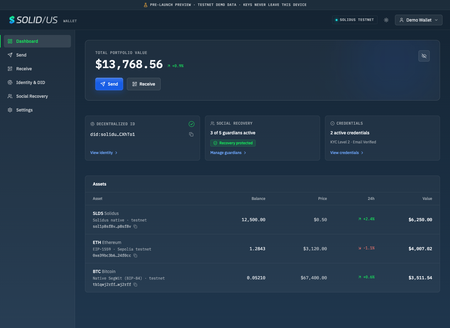 Solidus Wallet dashboard — multi-chain balances beside the verified DID, guardians, and credentials