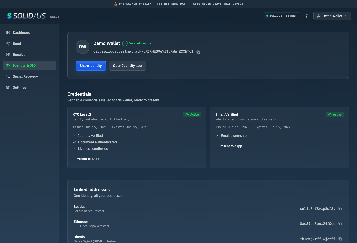 Identity view — the DID card with held verifiable credentials